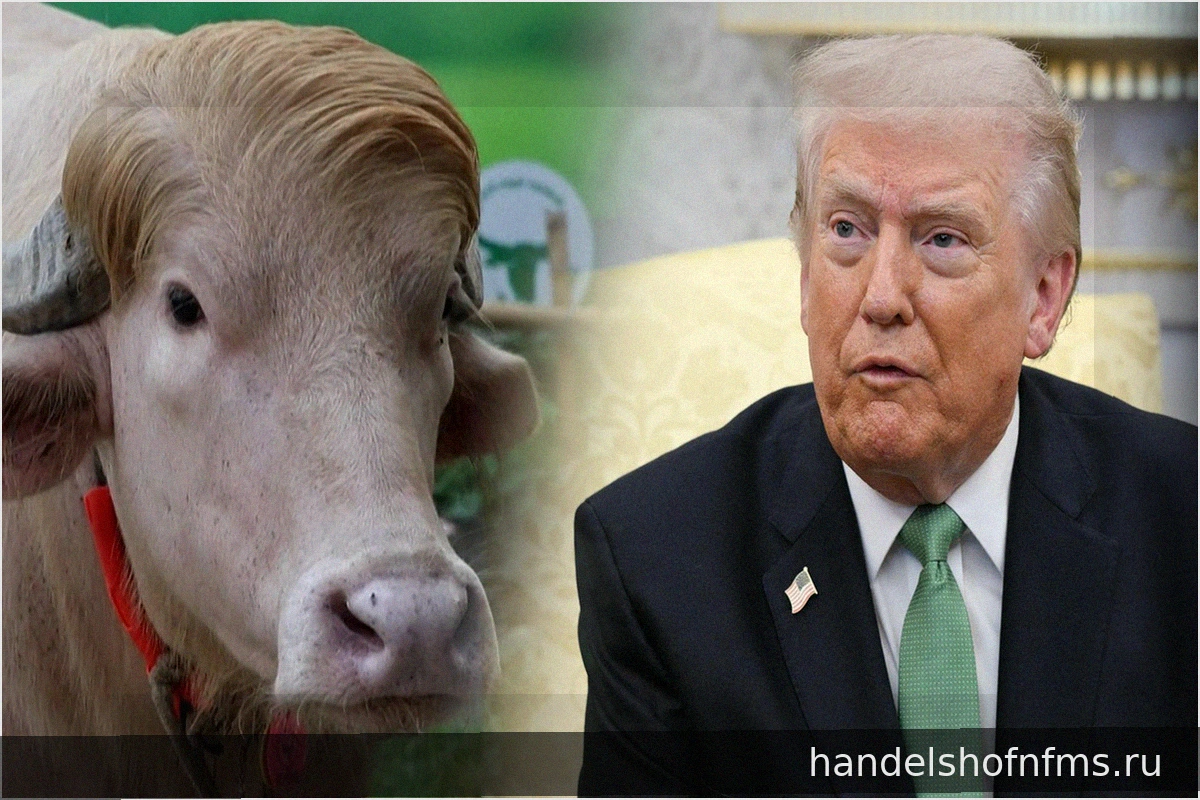Как известность спасла жизнь буйволу, похожему на Дональда Трампа