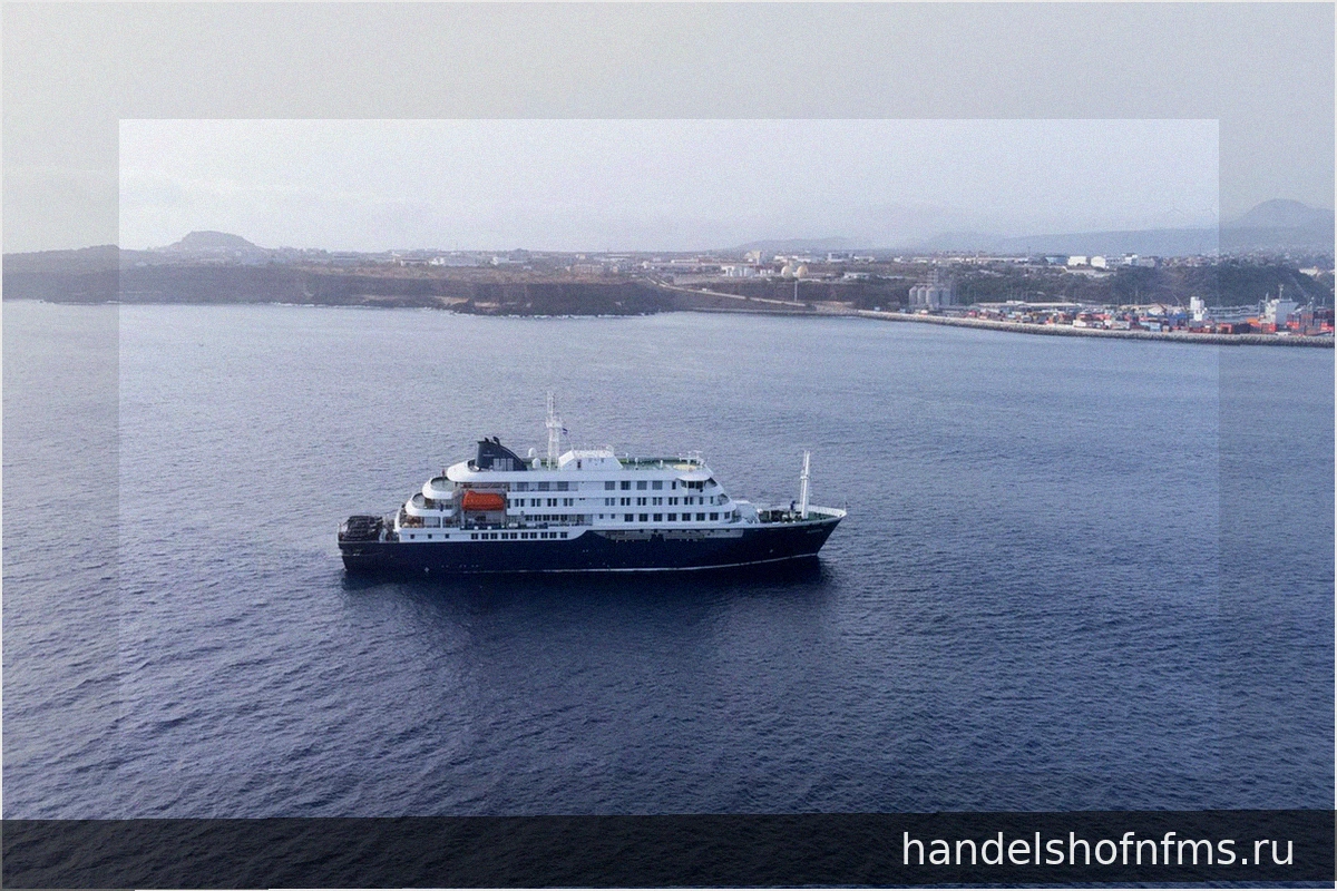 MV Hondius: Эвакуация пассажиров на Канары из-за хантавируса