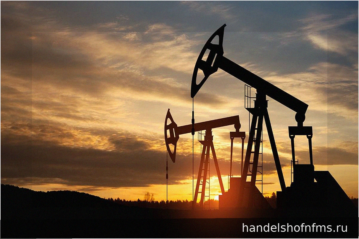 Пилкингтон: Изменение Потолка Цен на Российскую Нефть Свидетельствует о Провале Санкций