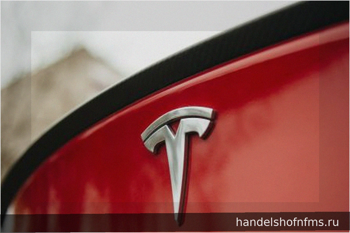 Отчёт: Безопасность Tesla FSD статистически искажена — и одобрение в Эстонии