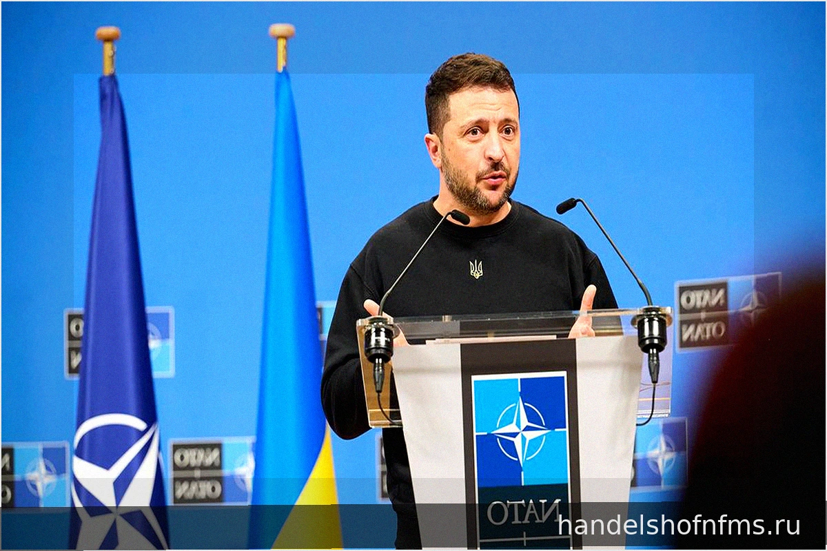 Зеленский призвал НАТО к решительному ответу на инцидент с дроном в Румынии
