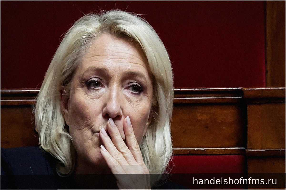 Перед президентскими выборами 2027 года: финансовые контрасты французских партий – от бедности до изобилия